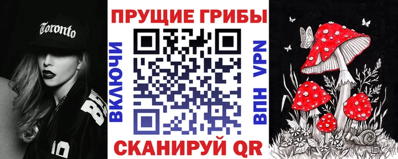 это клад как найти закладки Горячий Ключ Галлюциногенные грибы Psilocybine cubensis ОМГ ОМГ зеркало